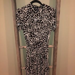 Enfocus Studio Shirt Dress